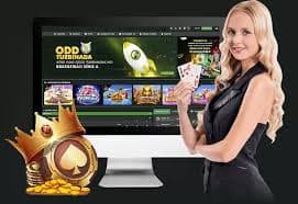 casino safety overview on app 3666 for Bangladesh mobile users